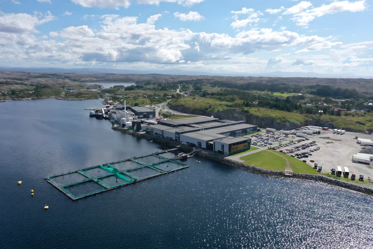 InnovaMar on Frøya, which placed SalMar's head office inside the processing plant