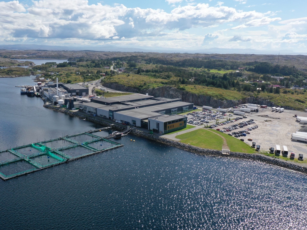 InnovaMar Frøya