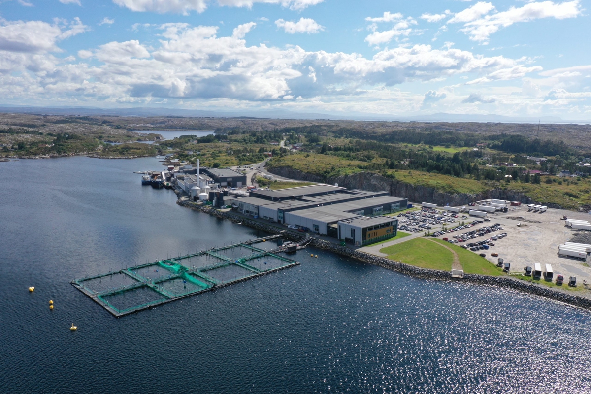 InnovaMar Frøya, Kverva, Frøya