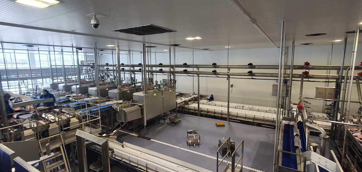 InnovaNor Senja, Silsand, Senja