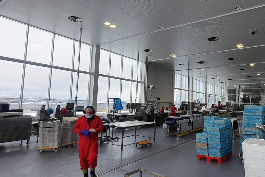 Seafood Processing