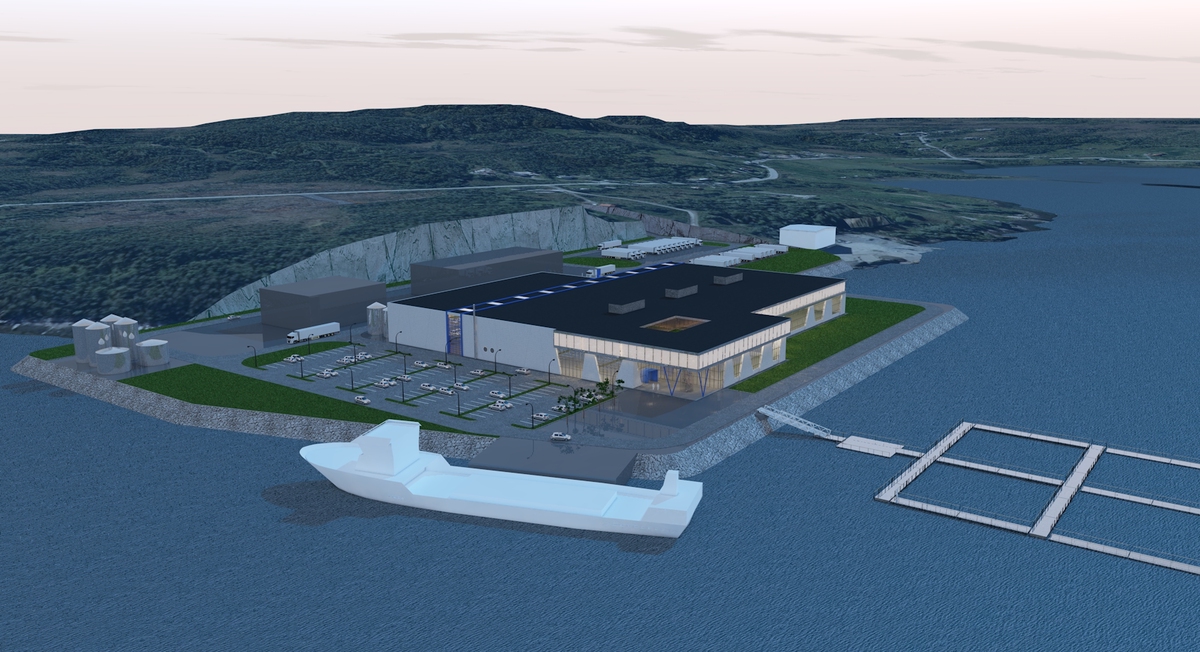 InnovaNor Senja, Silsand, Senja