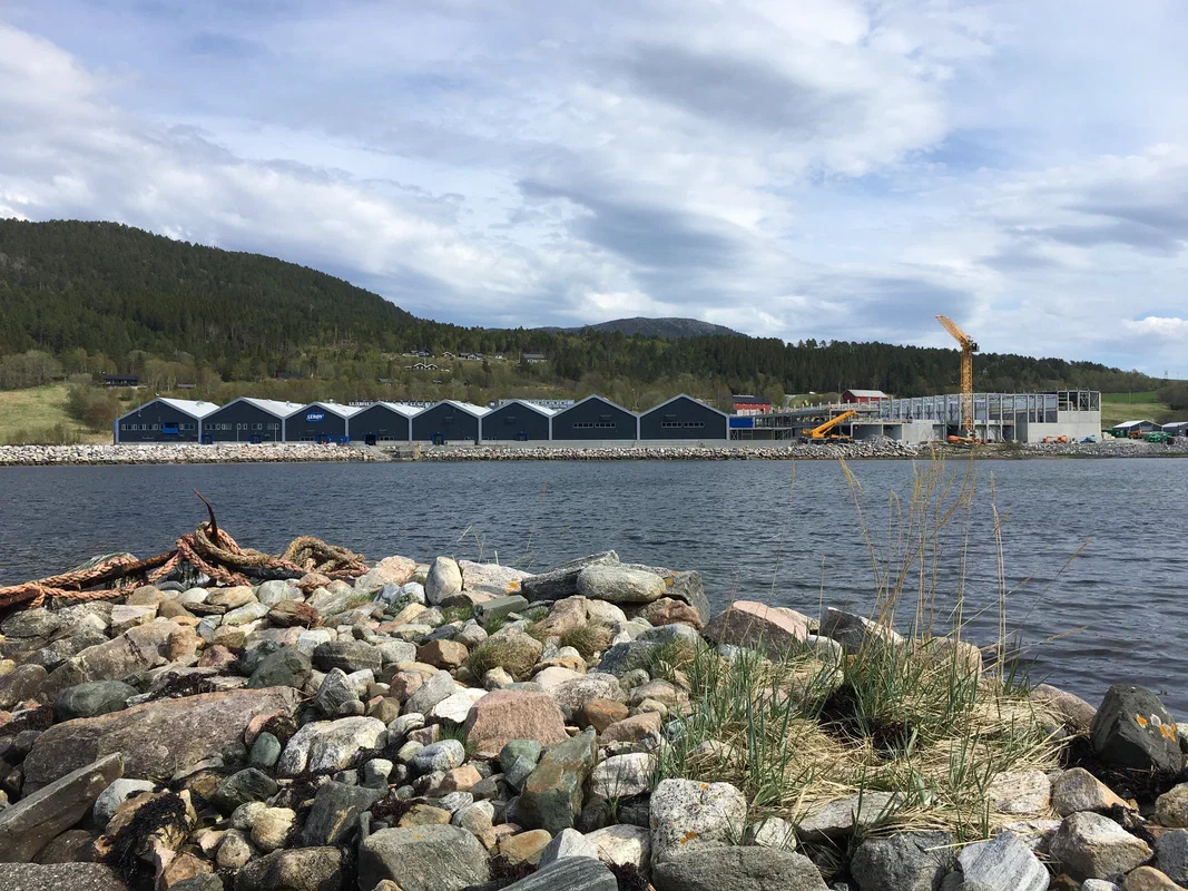 RAS Belsvik, Bellsvika, Heim
