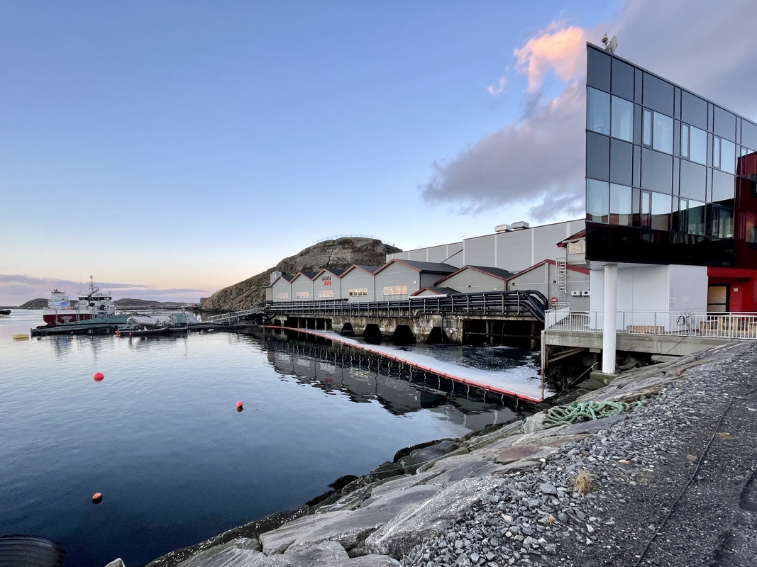 Nova Sea Lovund, Lovund, Lurøy