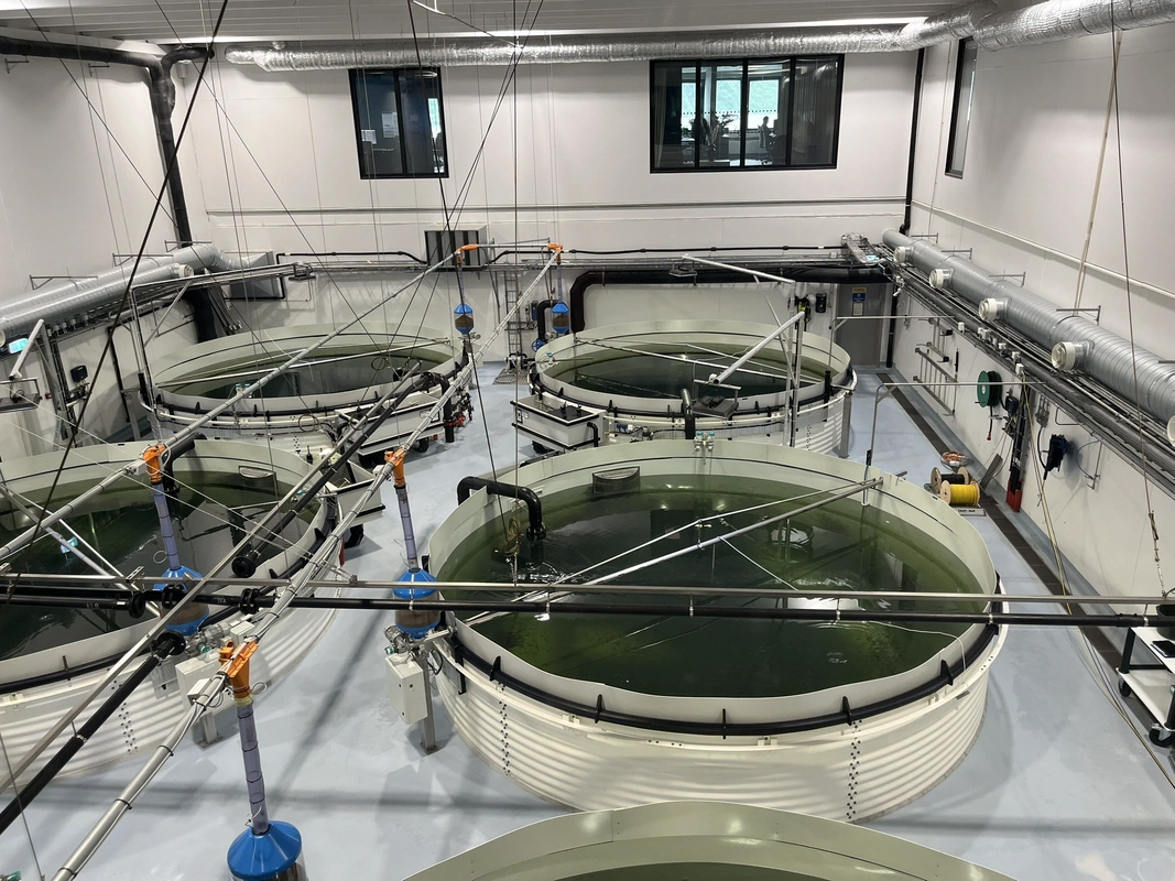 Aquaculture & Hatchery