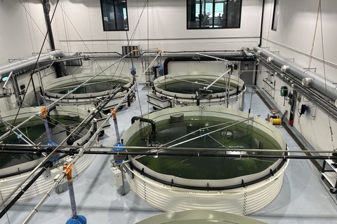 Aquaculture & Hatchery