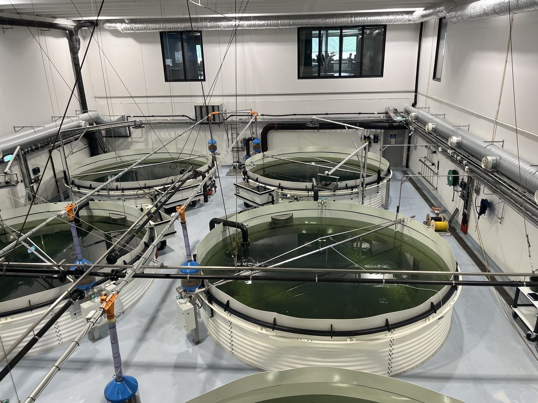 Aquaculture & Hatchery