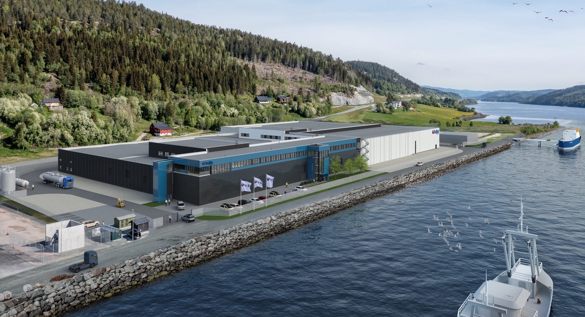 SalMar Tjuin, Steinkjer