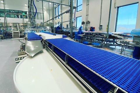 Seafood Processing